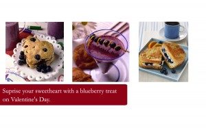 blueberries-from-florida-valentines-day2-300x187-6319287
