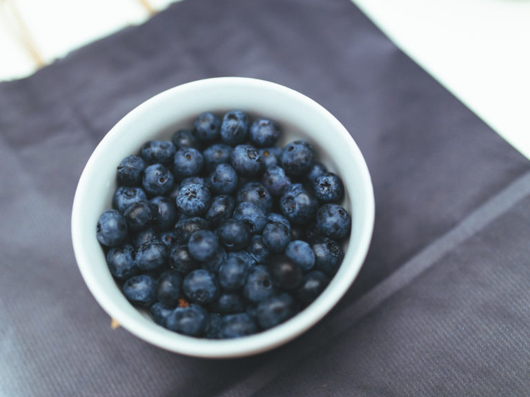 blueberry-pet-food-768x576-1747306
