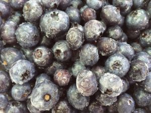 blueberries-1596198_1280-300x225-7743638