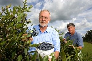senior-health-and-blueberries-300x200-6816405