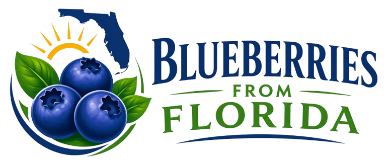 Blueberries From Florida